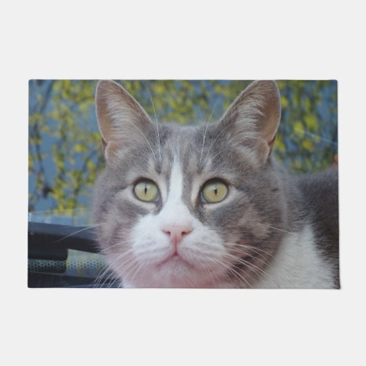 Paillasson Porte de chat blanc gris (Devant)