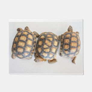 Paillasson Porte de Tortoise Trio