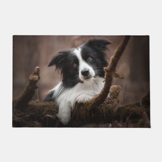 Paillasson Portrait Collie Bordure Étonnant (Devant)