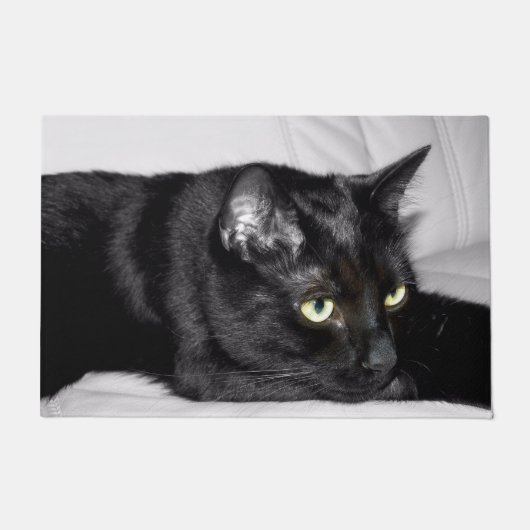 Paillasson Portrait de chat noir mignon (Devant)