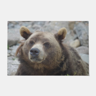 Paillasson Portrait de l'ours Kodiak avec fermeture du visage