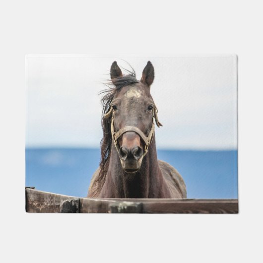 Paillasson Portrait d'un cheval (Devant)