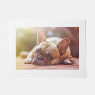 Paillasson pose de bouledogue français