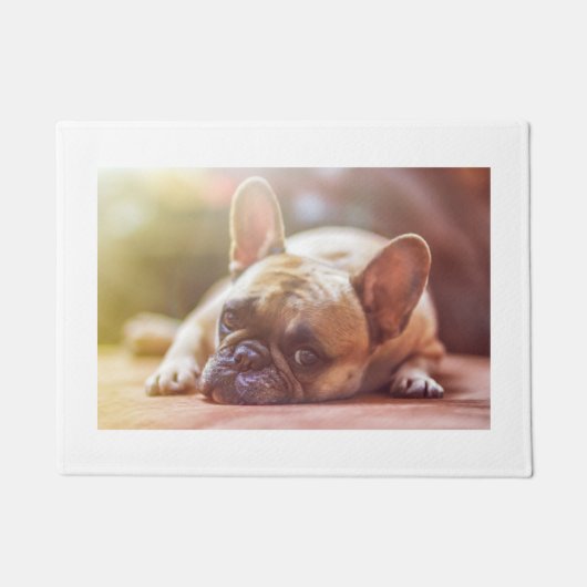 Paillasson pose de bouledogue français (Devant)