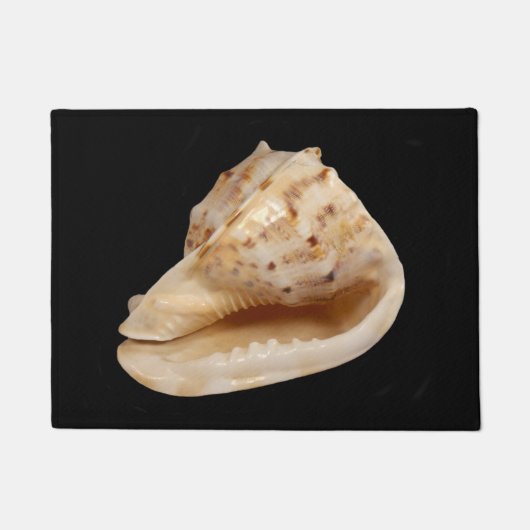 Paillasson Pot de porte de coquille de cône (Devant)