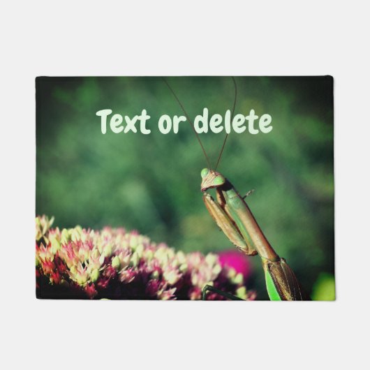 Paillasson Praying Mantis (Devant)
