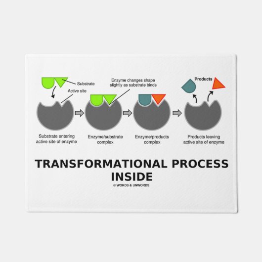 Paillasson Processus transformationnel à l'intérieur du sous- (Devant)