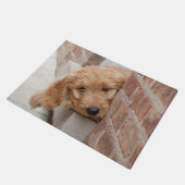 Paillasson Puppy Pékin (Incliné)