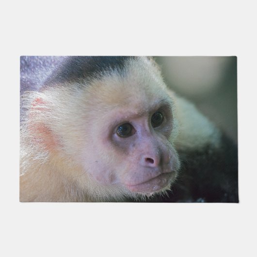 Paillasson Pura vida pour singe capucin à tête blanche (Devant)