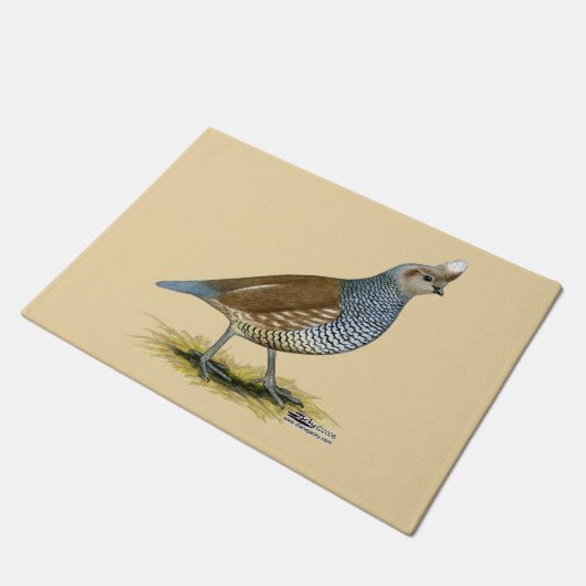 Paillasson Quail à échelle (Incliné)
