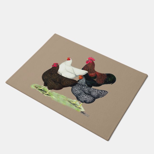 Paillasson Quartier de Plymouth Rock (Incliné)