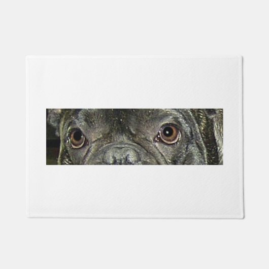 Paillasson râle de taureau français (Devant)