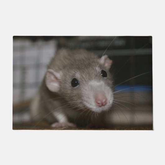 Paillasson Rat curieux (Devant)