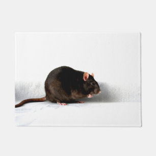 Paillasson Rat dma