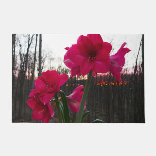 Paillasson Red Amaryllis et le lever du soleil d'hiver