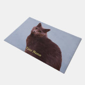 Paillasson Regarder russe de chat bleu (Incliné)