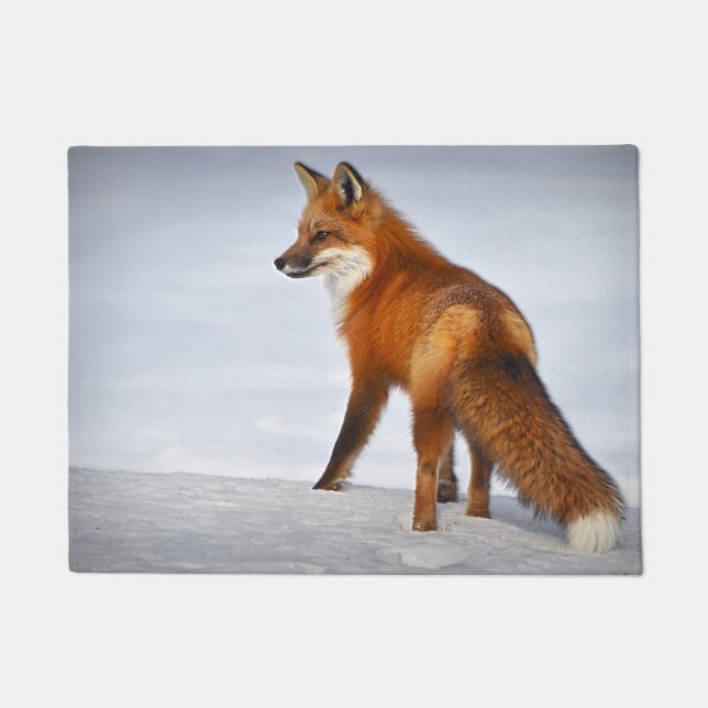 Paillasson Renard rouge en hiver (Devant)
