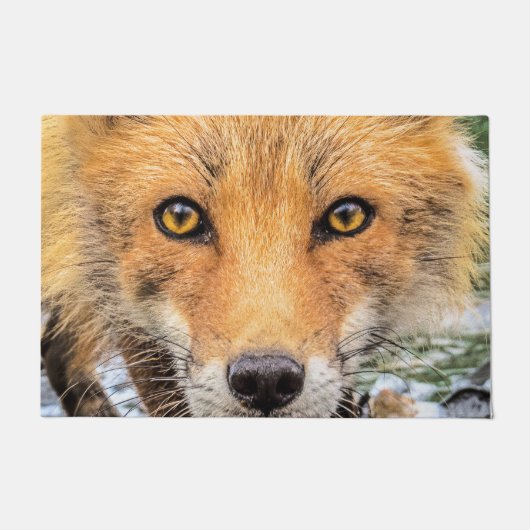 Paillasson Renard rouge - Face (Devant)