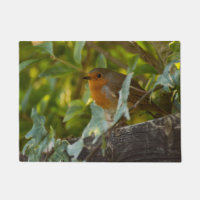 Robin