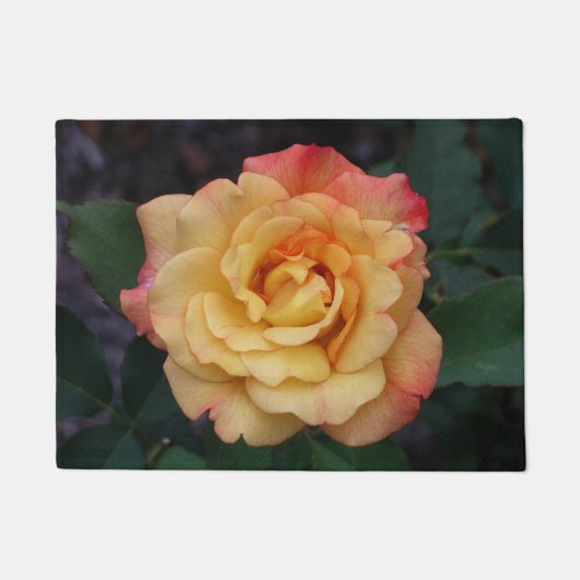 Paillasson Rose Beautiful Pink and Yellow Floral (Devant)