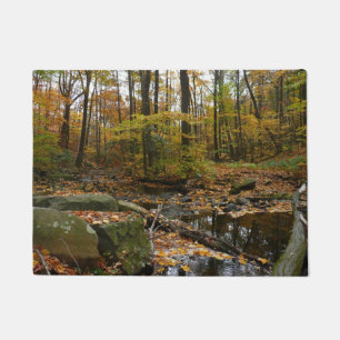 Paillasson Ruisseau de Fall avec reflet au parc Laurel Hill