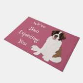 Paillasson Saint Bernard (Incliné)