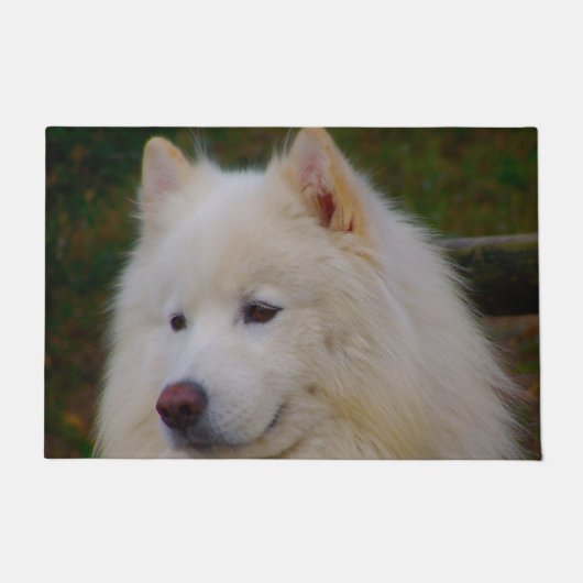 Paillasson Samoyed Husky. (Devant)