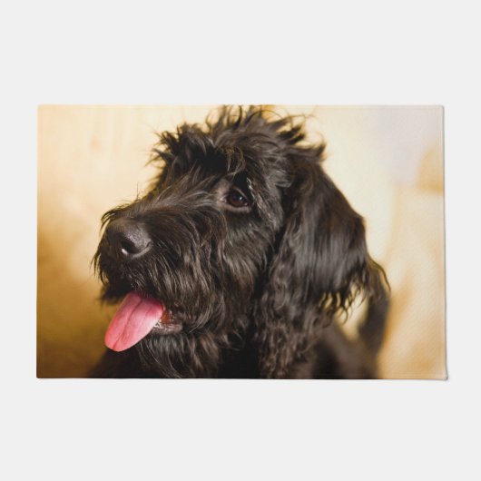 Paillasson Schnauzer Chien. (Devant)