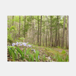 Paillasson Sentier des Smoky Mountain au printemps