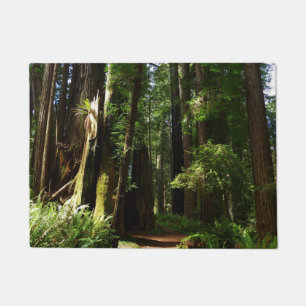 Paillasson Séquoias et fougères au parc national de Redwood
