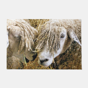 PAILLASSON SHEEP