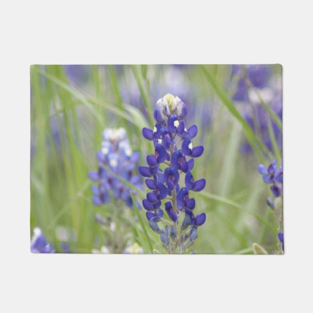 Paillasson SJefferson Texas Bluebonnets Series #1 (Devant)