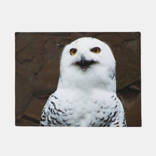 Paillasson Snowy Owl dmcnm (Devant)