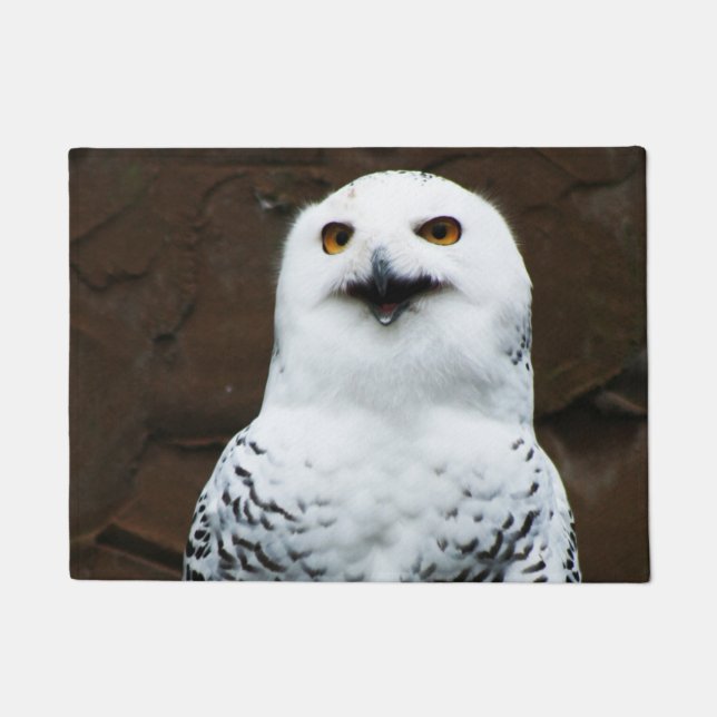 Paillasson Snowy Owl dmcnm (Devant)