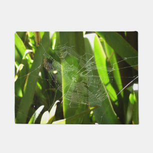 Paillasson Spiderweb dans Tropical Leaves Nature