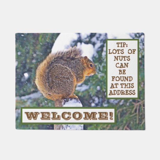 PAILLASSON SQUIRREL SUR LA NEIGE COUVERT POST/RECHERCHE DE NU (Devant)