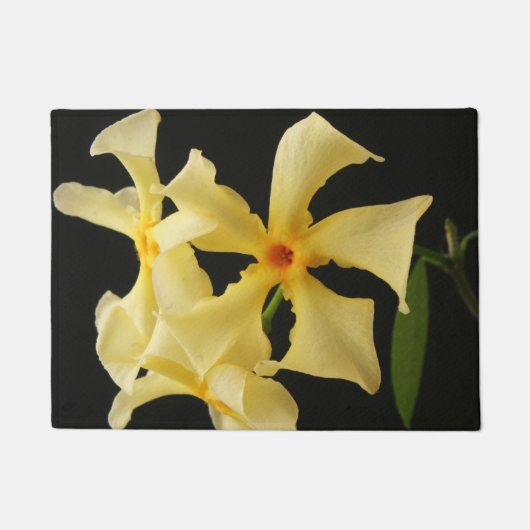 Paillasson Star Jasmine Flowers dmcna (Devant)