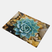 Paillasson Succulent (Incliné)