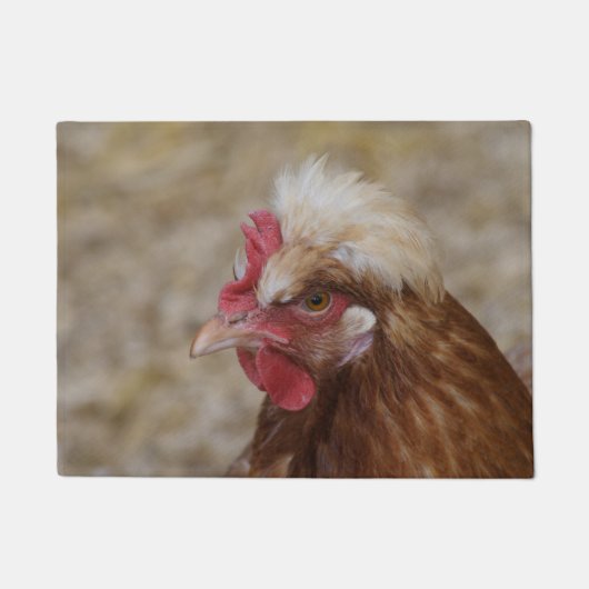 Paillasson Sulmtaler Hen (Devant)