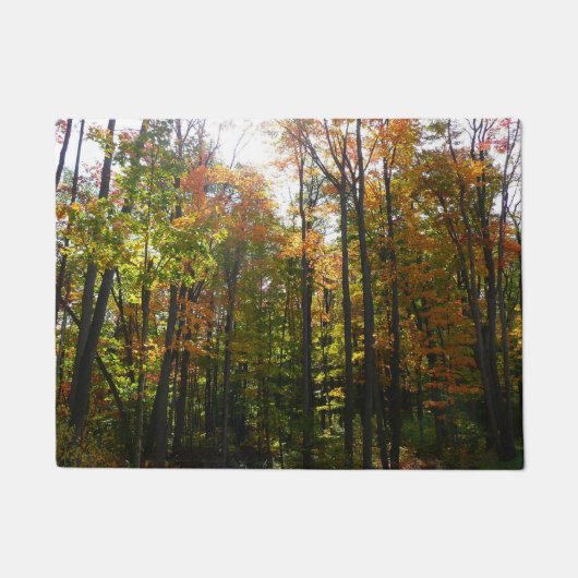 Paillasson Sunlit Fall Forest Paysage d'automne (Devant)