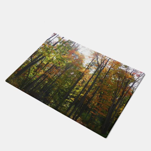 Paillasson Sunlit Fall Forest Paysage d'automne (Incliné)