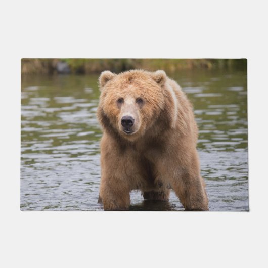 Paillasson Superbe ours kodiak brun (Devant)