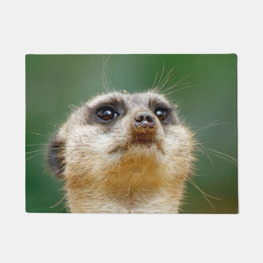 Paillasson Suricate 012 (Devant)