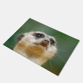 Paillasson Suricate 012 (Incliné)