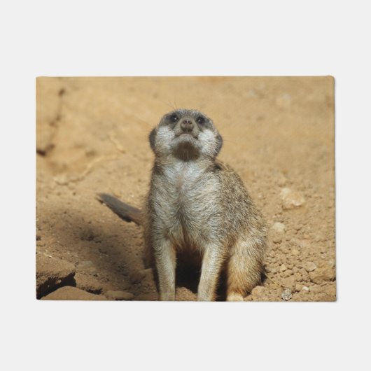 Paillasson Suricate 031 (Devant)
