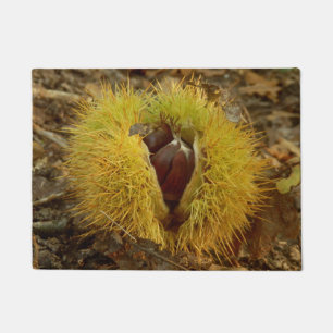 Paillasson Sweet Chestnut