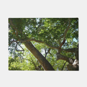 Paillasson Sycamore Tree Nature verte