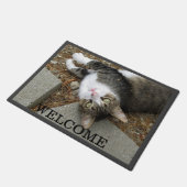 Paillasson Tabby Cat Vous M'Avez Trouvé Pormat (Incliné)