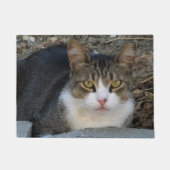 Paillasson Tabby Chat avec matelas vert aux yeux (Devant)