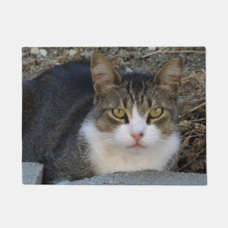 Paillasson Tabby Chat avec matelas vert aux yeux